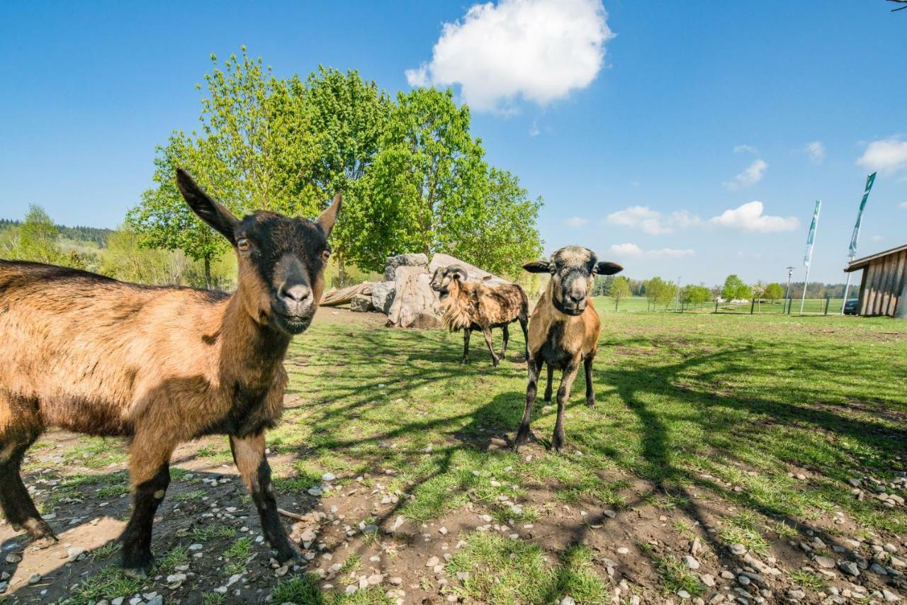 Hotel Hofgut Tiergarten Aulendorf Eksteriør bilde